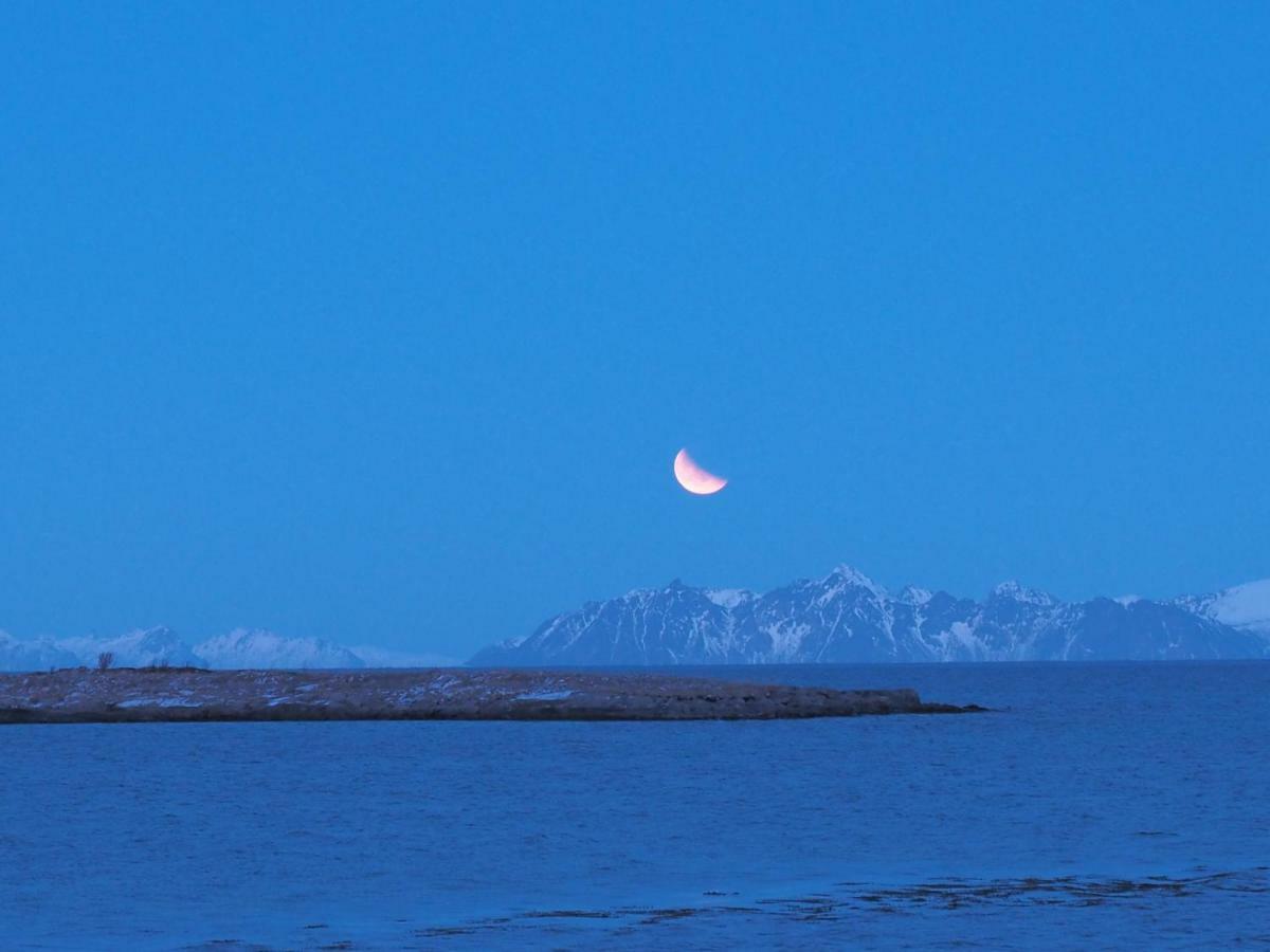 Lofoten Ocean View - Sandoy Gard Sand  Ngoại thất bức ảnh