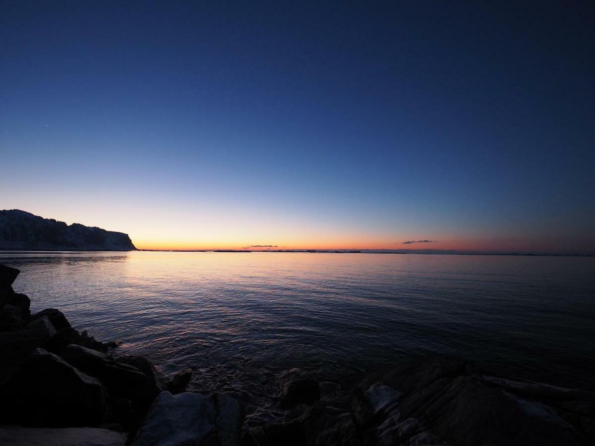 Lofoten Ocean View - Sandoy Gard Sand  Ngoại thất bức ảnh